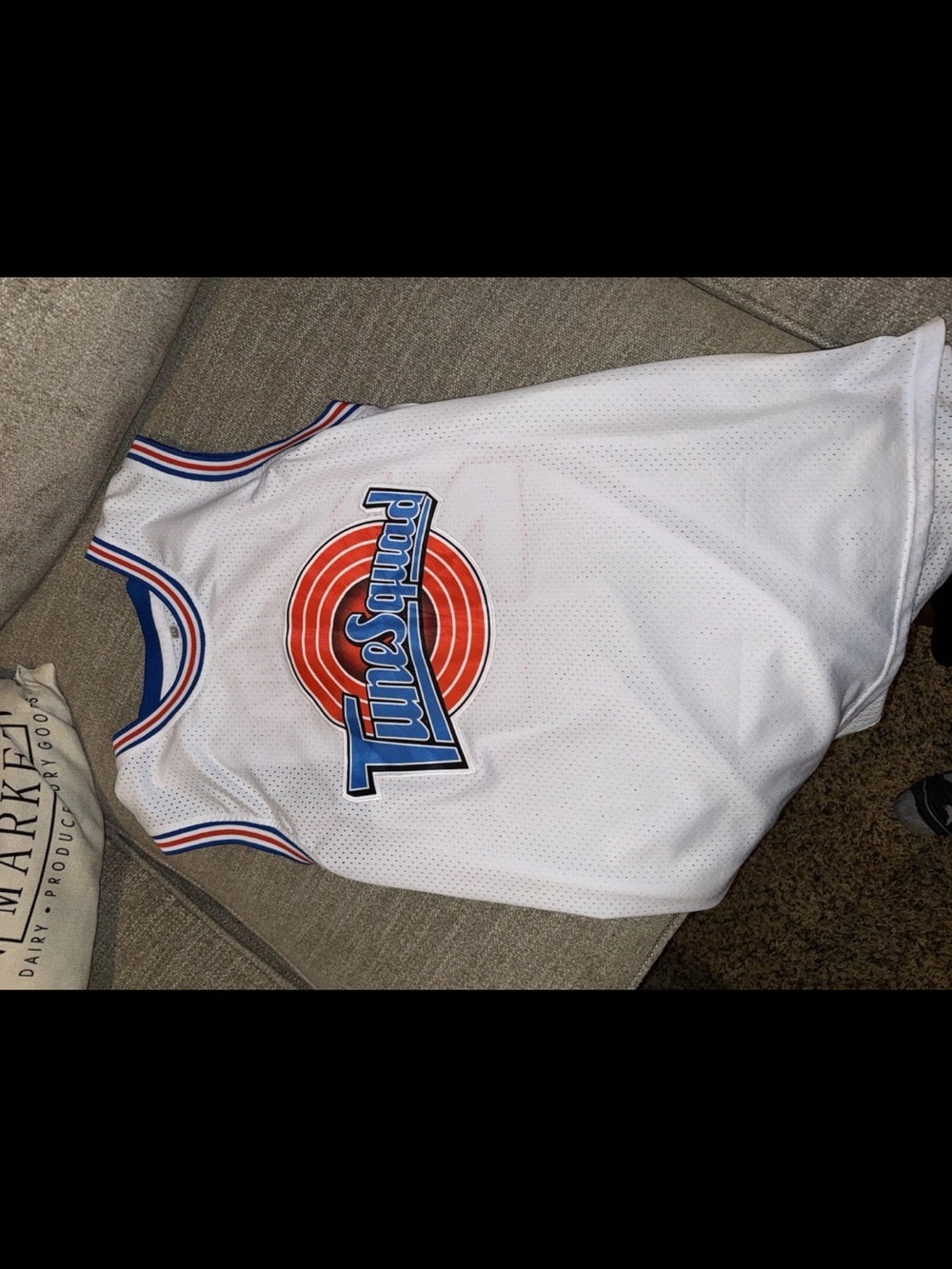 Tune Squad White Basketball Jersey with Red & Blue Logo